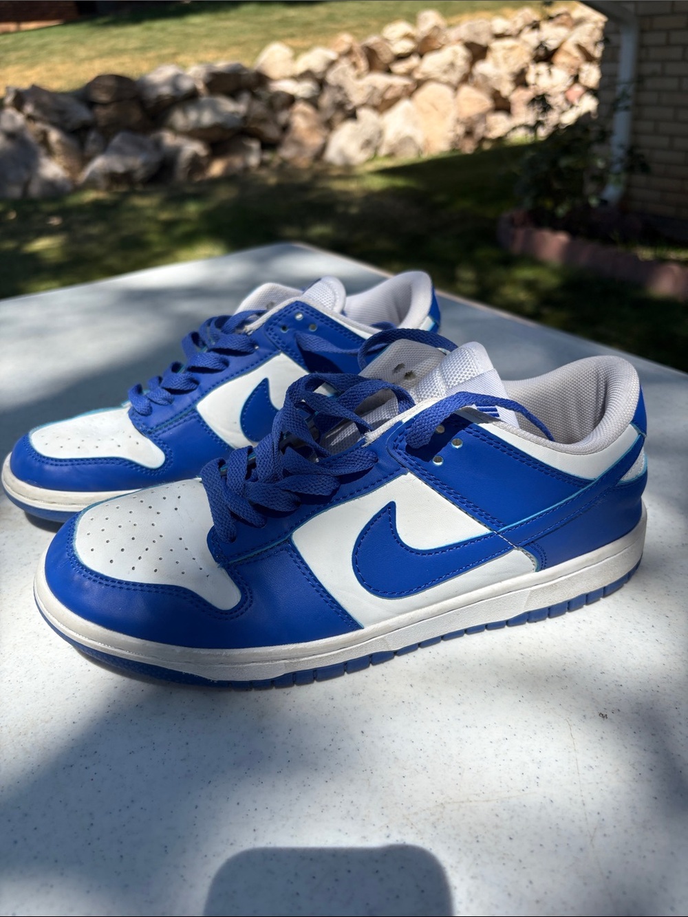 Nike Blue and White Dunks. Great condition!  Size 8 Men